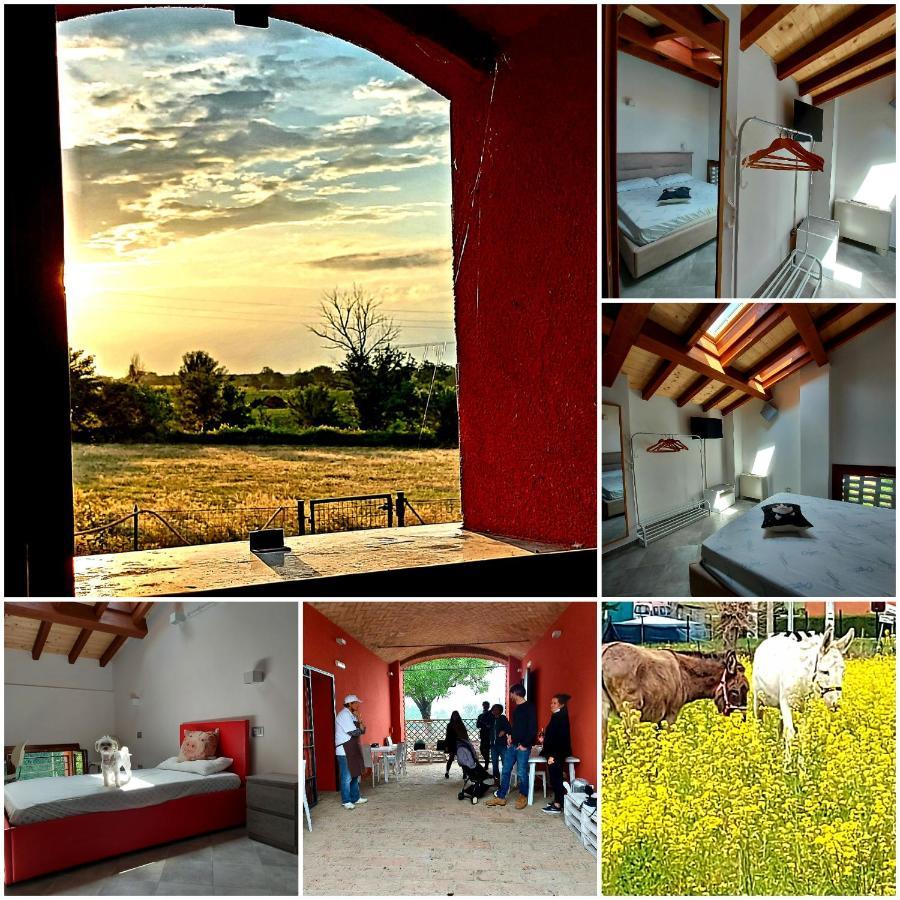 Agriturismo Fattoria Ferrari Maria Rita Pozza Luaran gambar